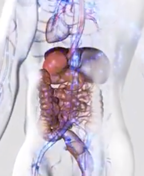 مراقبة كمية السكر في الدم (Glycémie) 