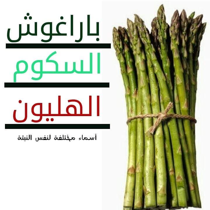 السكوم وفوائده المتعددة